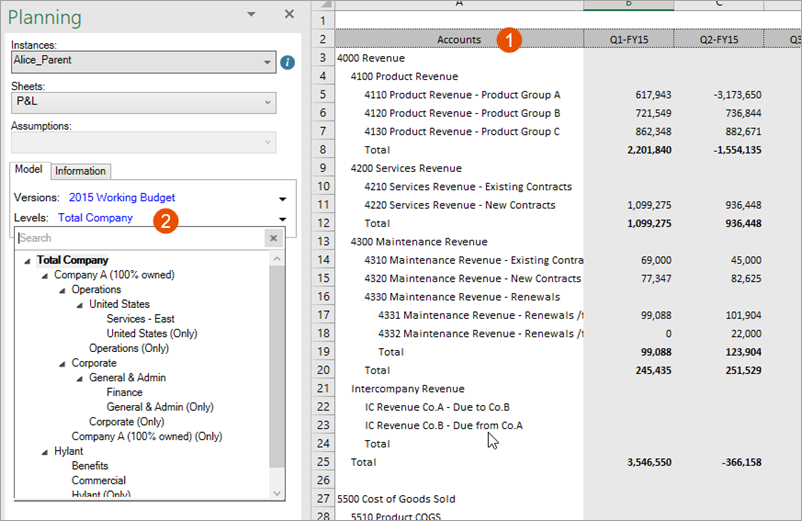 Default view of the accounts in the first column and levels in the drop-down.