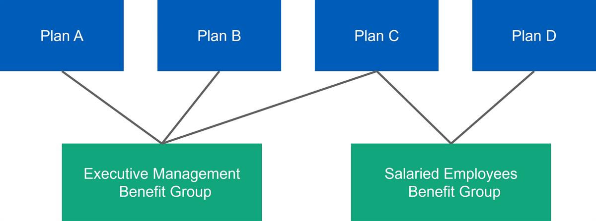 A diagram links four benefit blocks (Plan A, Plan B, Plan C, and Plan D) to two groups below. Executive Management is linked to Plans A, B, and C, while Salaried Employees connects to Plans C and D.