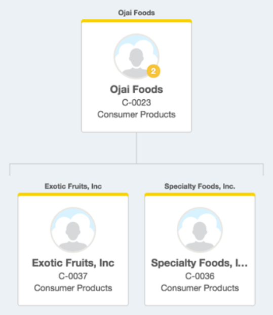 A customer hierarchy chart displays parent company Ojai Foods linked down to its child companies, Exotic Fruits, Inc and Specialty Foods, Inc.