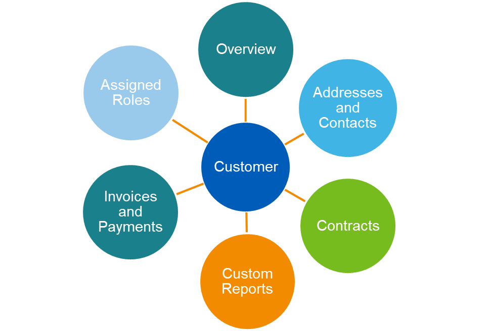 A hub-and-spoke diagram positions Customer at the center of six key operational areas, including contracts, roles, and invoices.