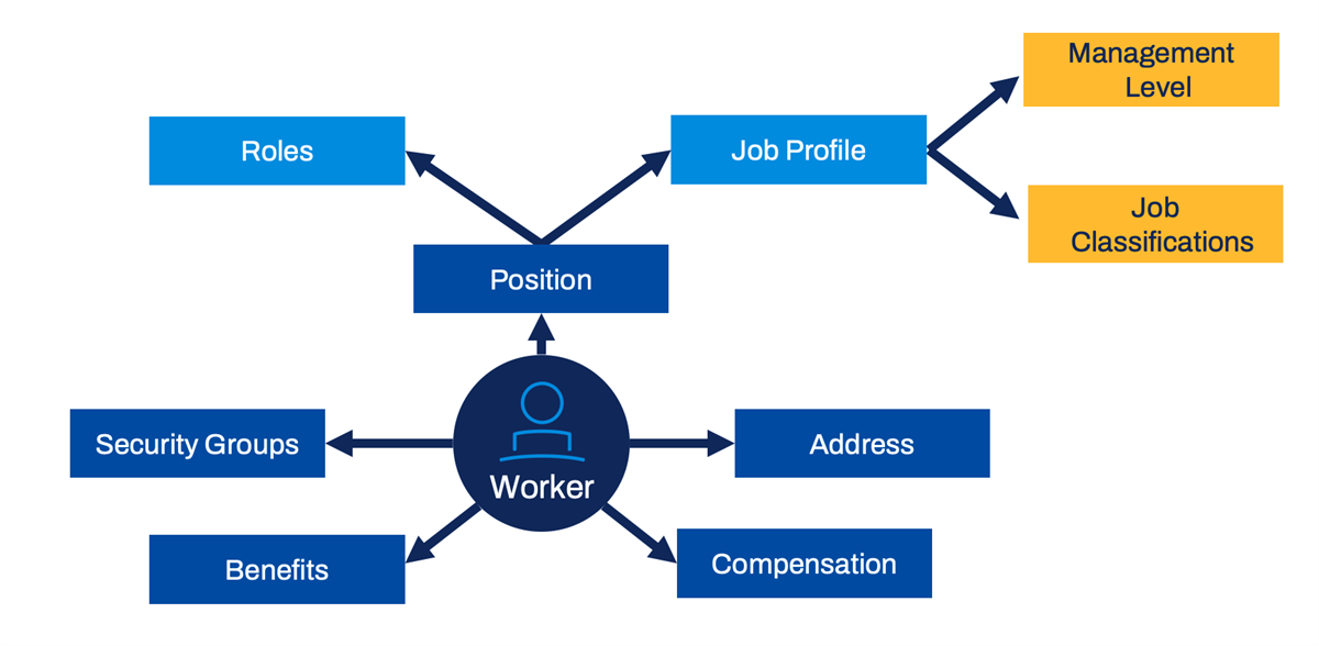 Flow chart illustrating Worker as primary business object at the center. Branching from Worker are other related business objects, such as Benefits, Security Groups, Position, Address, and Compensation. Additionally, diagram displays additional related business objects that branch from Position, such as Roles and Job Profile, and then Management Level and Job Classifications branch from Job Profile.