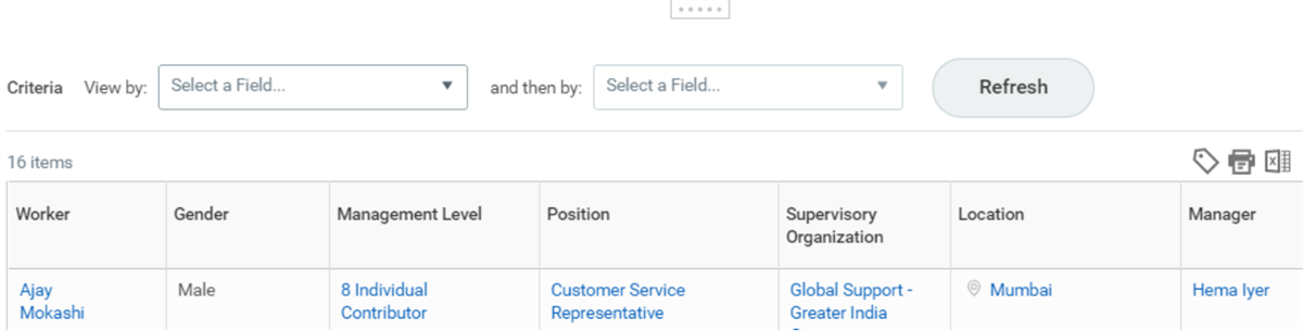 Screenshot of the summarized, defined detail data fields.