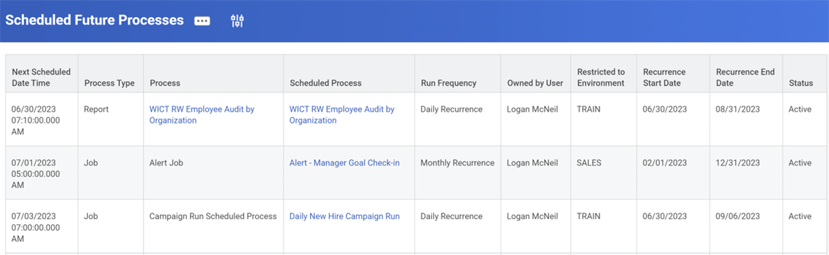 Scheduled Future Processes report output.