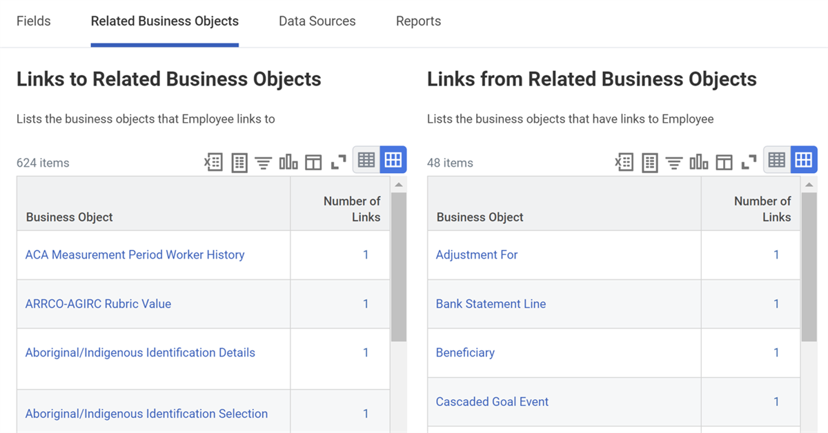 The Related Business Objects tab of the Business Object Details report.