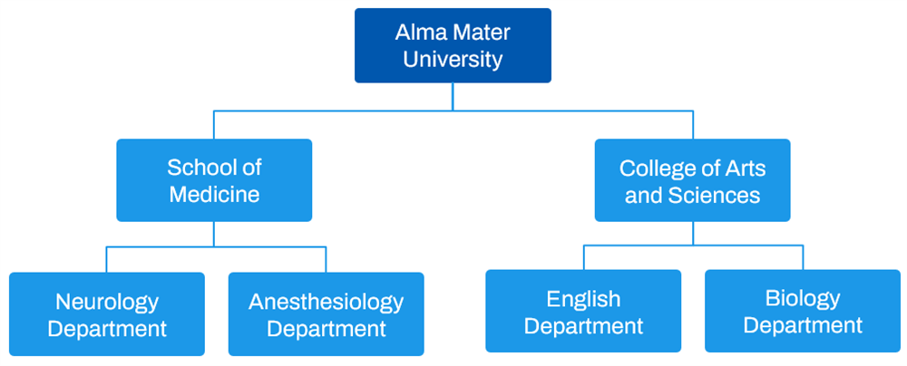 An example Alma Mater University hierarchical structure.