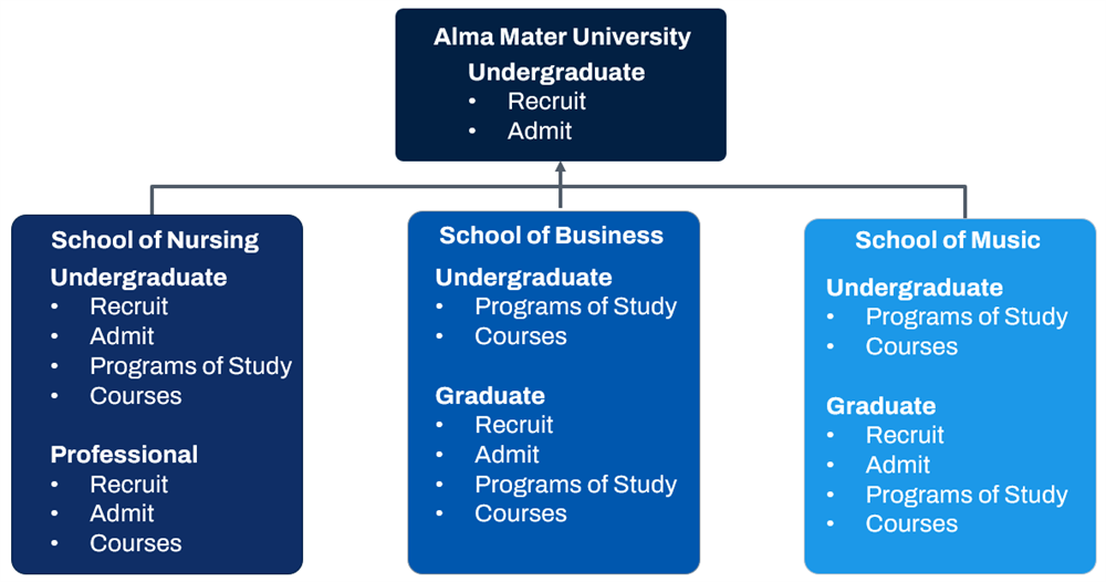 An example of a four year university academic structure.