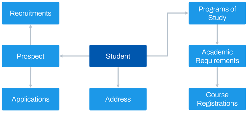 A visual representation of business objects in Workday Student.