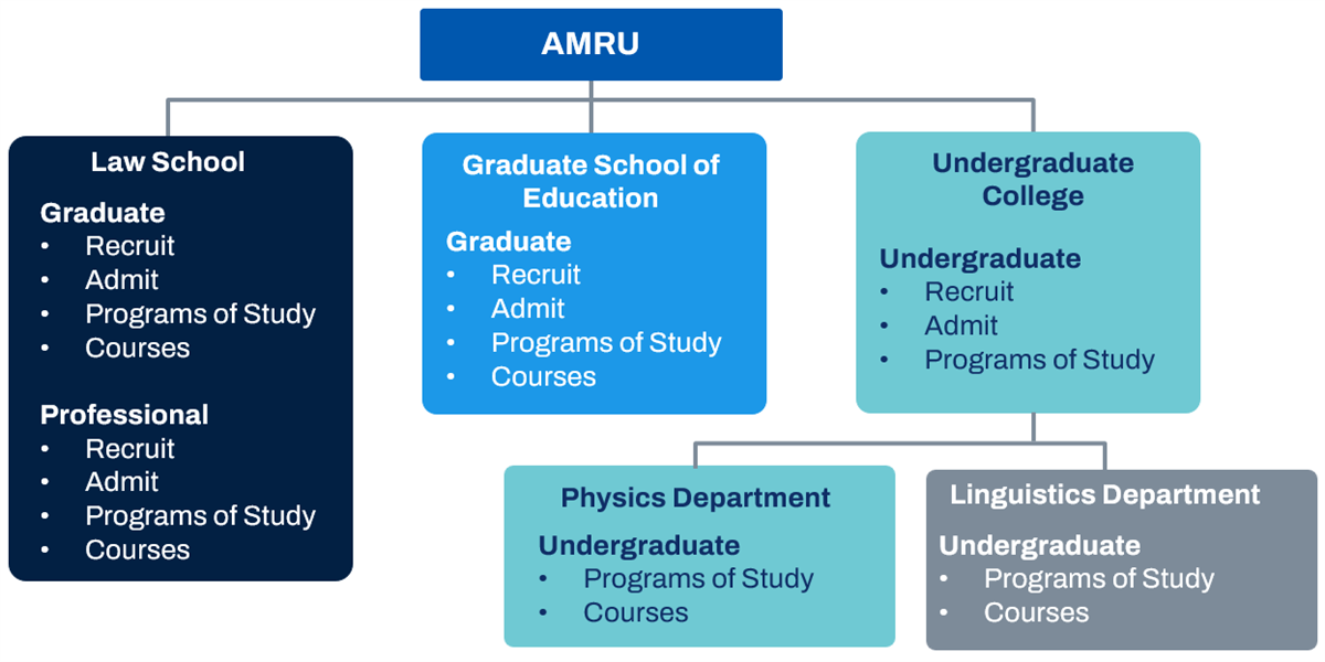 An example of a research university academic structure.