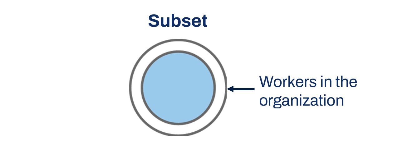 Diagram of a Subset extract multi-instance operation type. A circle representing workers in the organization has a smaller circle within it. The smaller circle is highlighted.