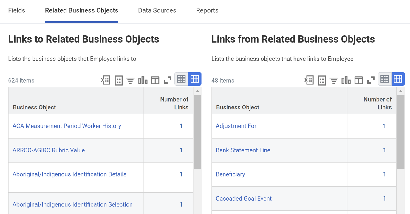 The Related Business Objects tab of the Business Object Details report.