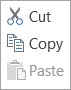 Cut Copy and Paste